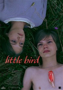 little bird poster