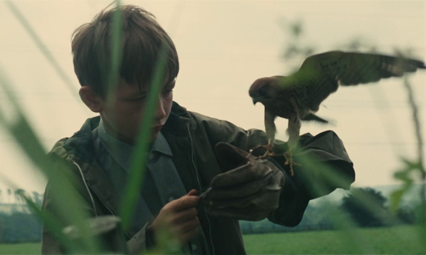 David Bradley in Ken Loach's KES (1970). Courtesy Park Circus Films. Playing February 27 - March 5.