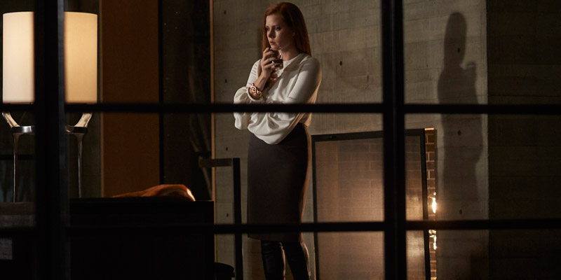animali-notturni-Amy-Adams