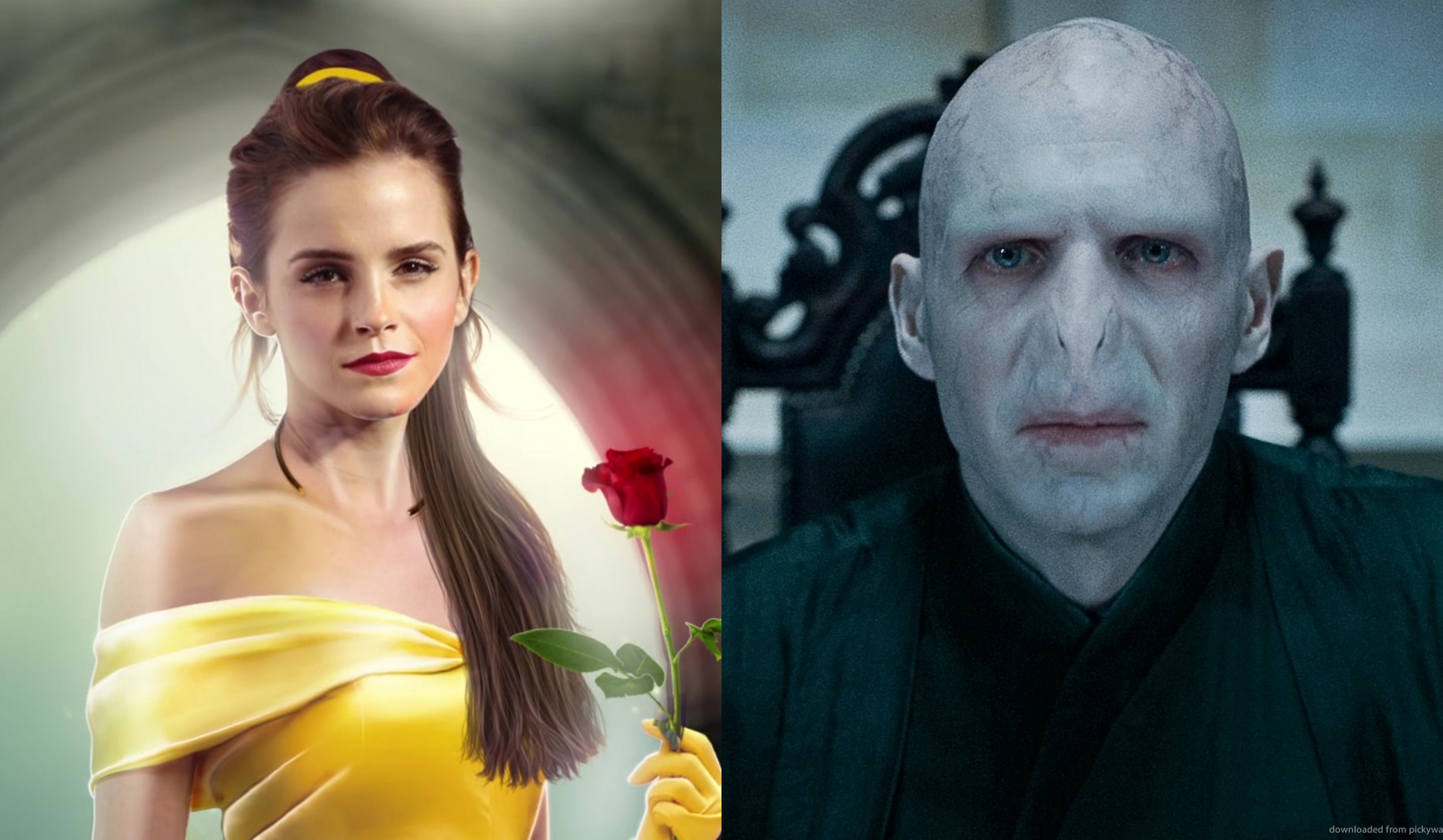 Il mash-up video di Beauty and The Beast e Harry Potter - Film 4 Life - Curiosi di Cinema5120 x 2982