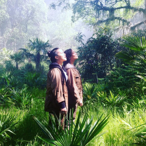 annihilation