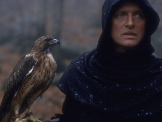 ladyhawke