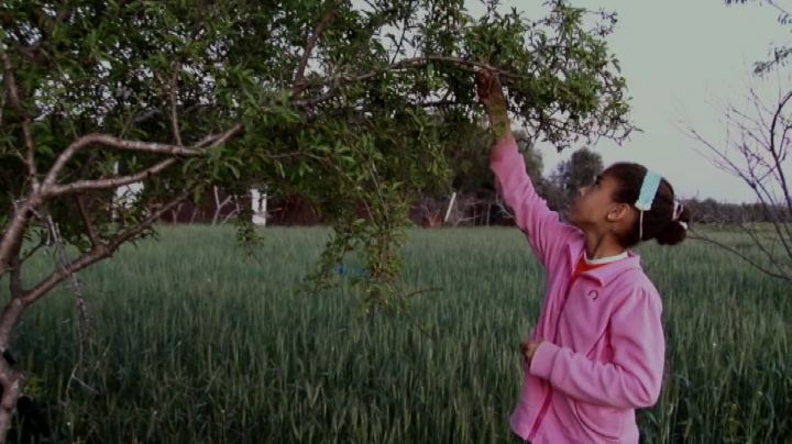 la strada dei samouni a cannes 2