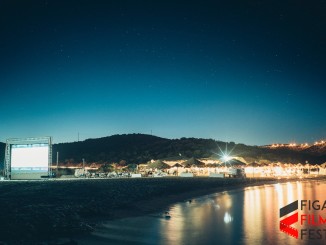 figari2021