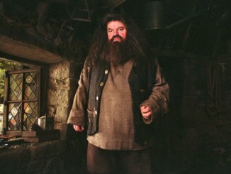 hagrid