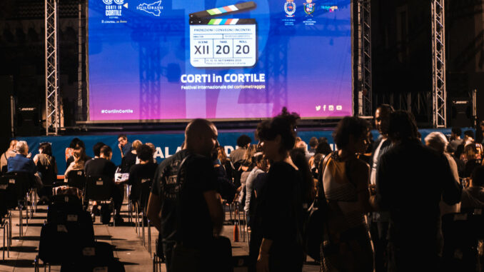 corti in cortile 2024